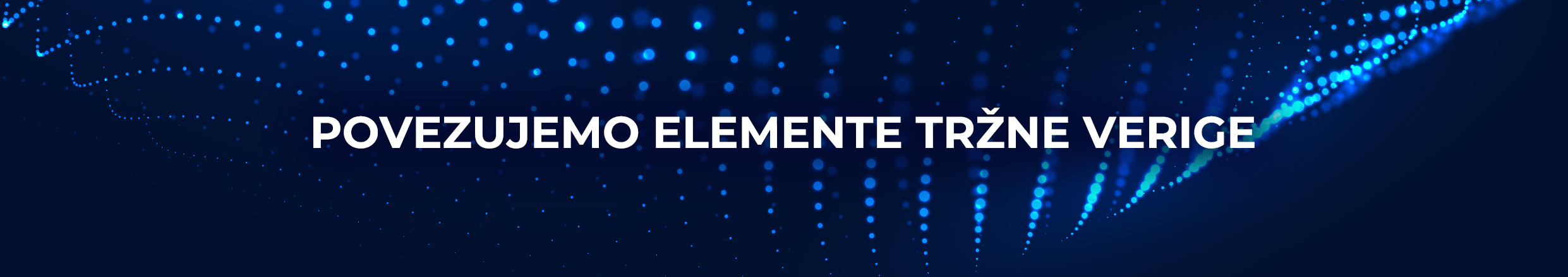 DirectaWWW_2021_banner1